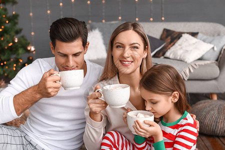 家庭快乐在圣诞节前夕在家喝热巧图片