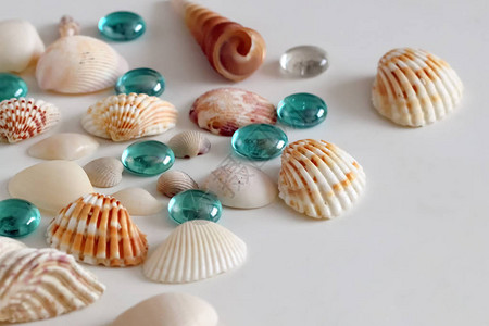 浅色背景上的贝壳和闪亮的玻璃灯珠图片