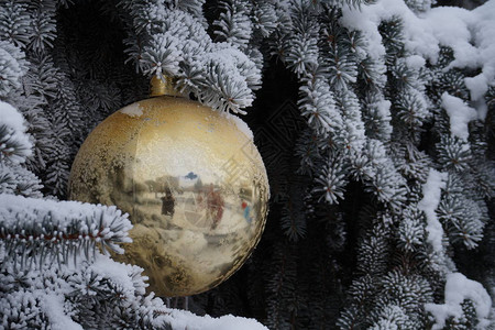 树上的大型圣诞装饰图片