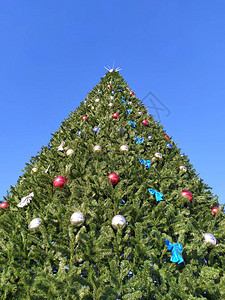 人造装饰的圣诞树蓝天背景图片