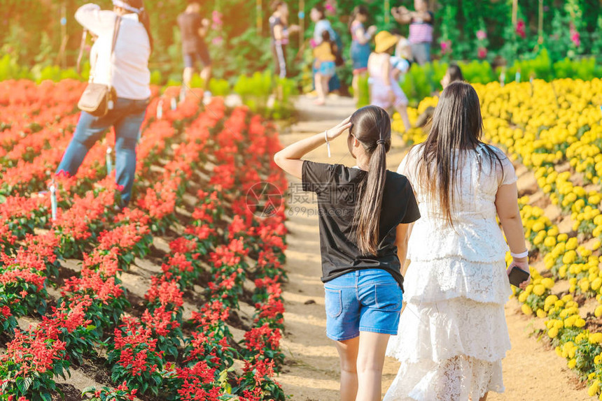 Garden拍摄美丽的鲜花图片