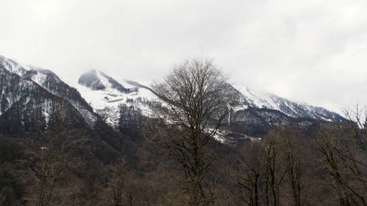 秃顶的树顶和被厚的云层覆盖的高的空中具有高山和冬季森图片