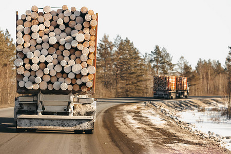 在冬季公路上看到运输原木的图片