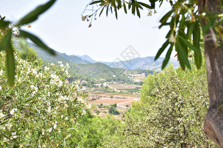 夏天美丽的风景图片