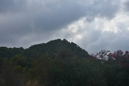 夏天美丽的风景图片