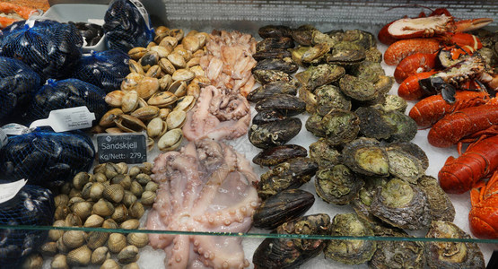 扇贝虾龙虾贝壳带贻贝的壳都放在商店柜台的冰上各图片