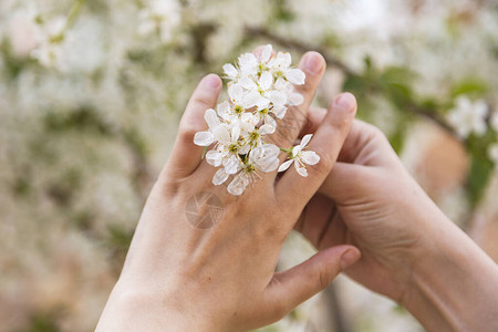 可爱的结婚戒指在女手中由树开花制成特写年轻女手在花园里抚摸着盛图片