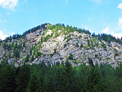 Saminatal山谷和列支敦士登阿尔卑斯山的陡峭悬崖Steg图片