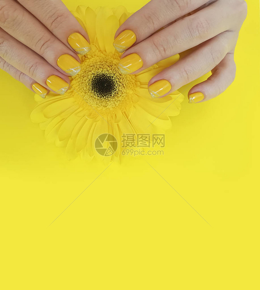 彩色背景上的金发花朵染图片