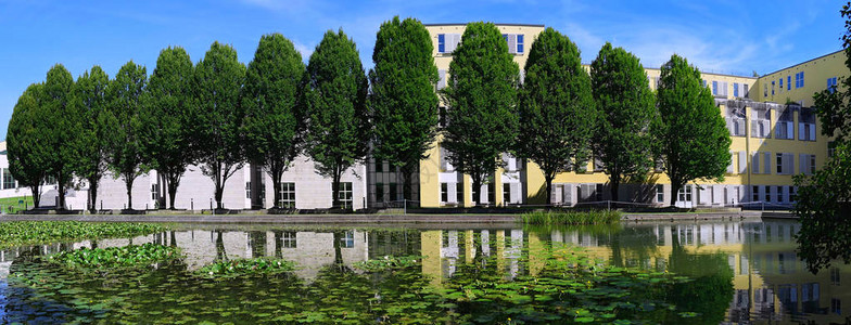 青树小巷和水里池塘在夏季著名的大学附近萨尔茨堡在蓝图片