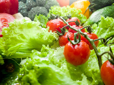 用露水滴盖的新鲜有机蔬菜的特写照片健康食品图片