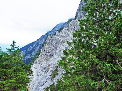 莱茵河谷Rheintal和列支敦士登阿尔卑斯山的陡峭悬崖Schaan图片