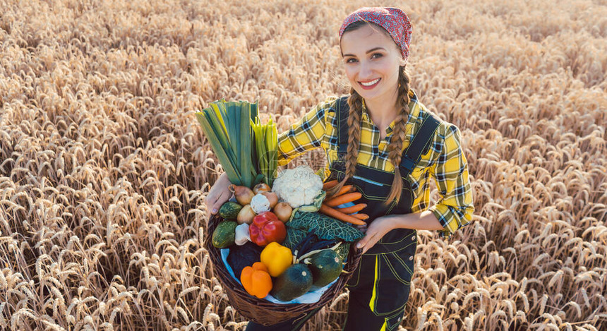 在农村环境中提供健康蔬菜的农民妇女图片