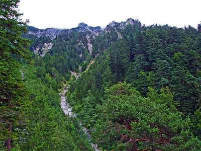 莱茵河谷Rheintal上方季节高山激流干涸的河床列图片