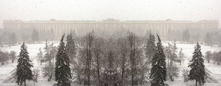 莫斯科雪落和树巷的暗景图片