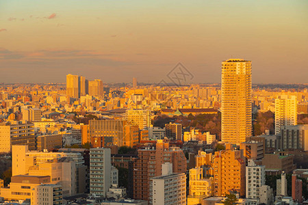 东京市中心天际线鸟瞰图图片