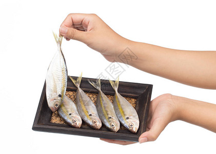 竹子编织托盘上的小鱼在白图片