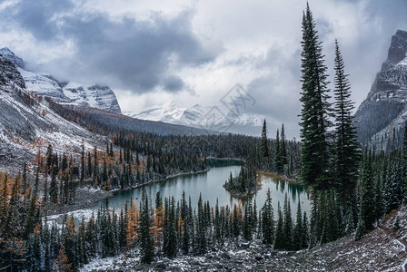 加拿大约霍公园暴风雪中加拿大岩石和湖泊的奥图片