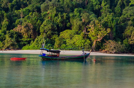 泰国素林岛美丽的热带海滨的长途船图片