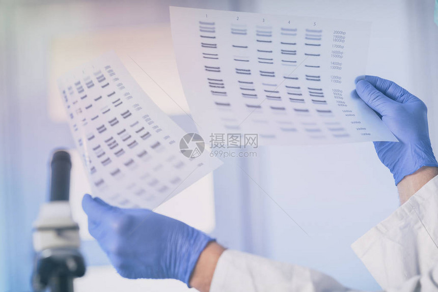 科学家在现代实验室对DNA序列图片