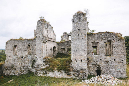 Podilskyi城堡的废旧墟图片