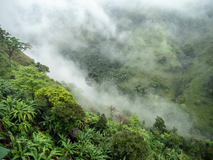 山地景观和热带丛林清晨云雾图片