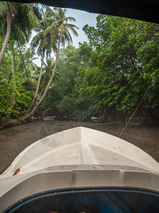 在热带大雨下在红树林的河流上图片