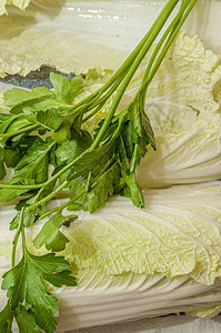 白菜白菜和欧芹洗过的叶子图片