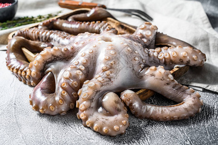准备做饭的新鲜章鱼有机海鲜灰色背图片