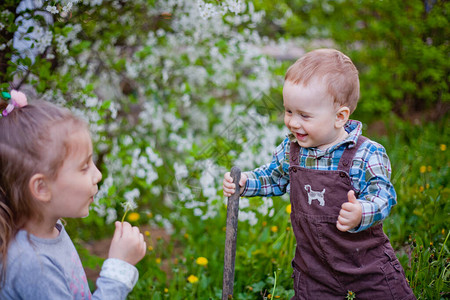 樱花园里的男孩和女孩图片
