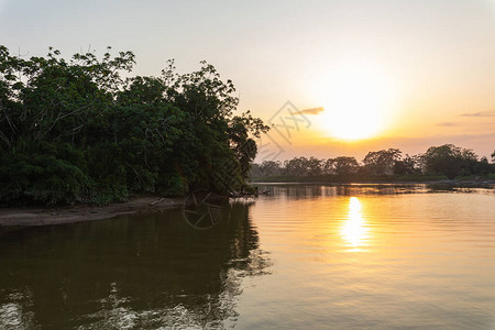 在乘船旅行期间亚马逊雨林日落与水中树木的倒影弗朗西斯科德奥雷利亚纳港厄瓜背景图片