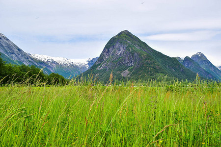 苏菲莱达伦Jostedalsbreen公园冰川和周围山地景观的景象背景