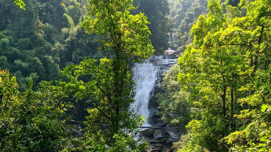 泰国清迈茵他侬公园穿过绿色森林的瀑图片