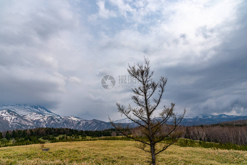 自然景象滚动山脉和高纬度春季时期的林地日本北海道Shirieto图片