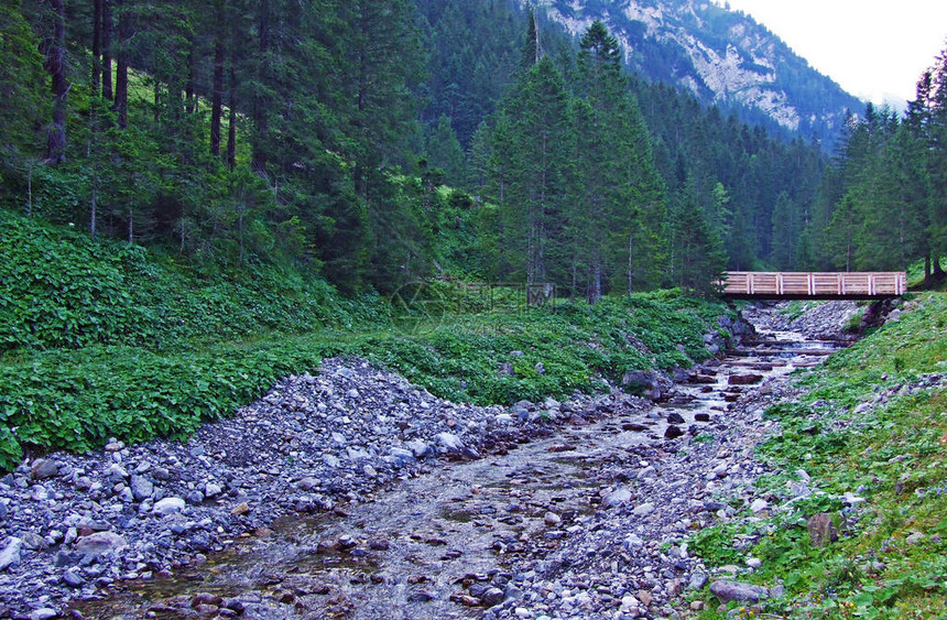 Valunerbach或Valuenerbach溪流在Saminatal高山谷和列支敦士登阿尔卑斯山Steg图片