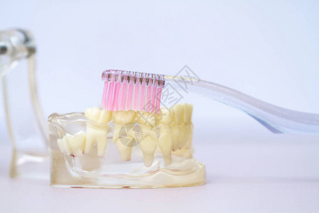 两排透明硅胶和塑料牙齿图片