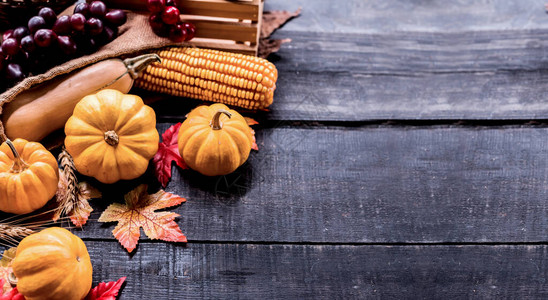 感恩节背景与水果和蔬菜在秋季和秋季收获季节的木材上图片