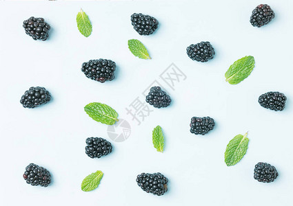 果实模式黑莓背景薄荷叶的黑莓图片