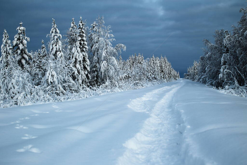 雪中一条铁轨图片