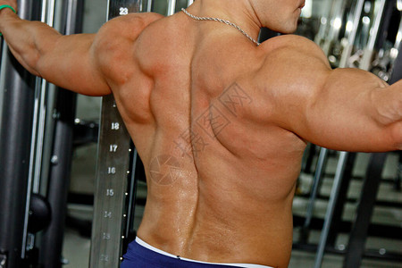 男子充气背部特写健身房健美运动员美丽图片