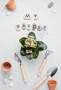 园艺概念平整地与文字放在我的花园的石头和园艺工具上顶端图片