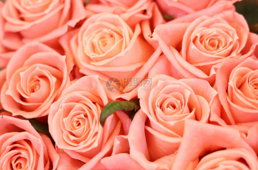 插花美丽的玫瑰花束为假期花卉背景图片
