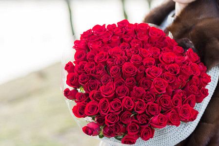 大束红玫瑰紧贴在女人的手中图片