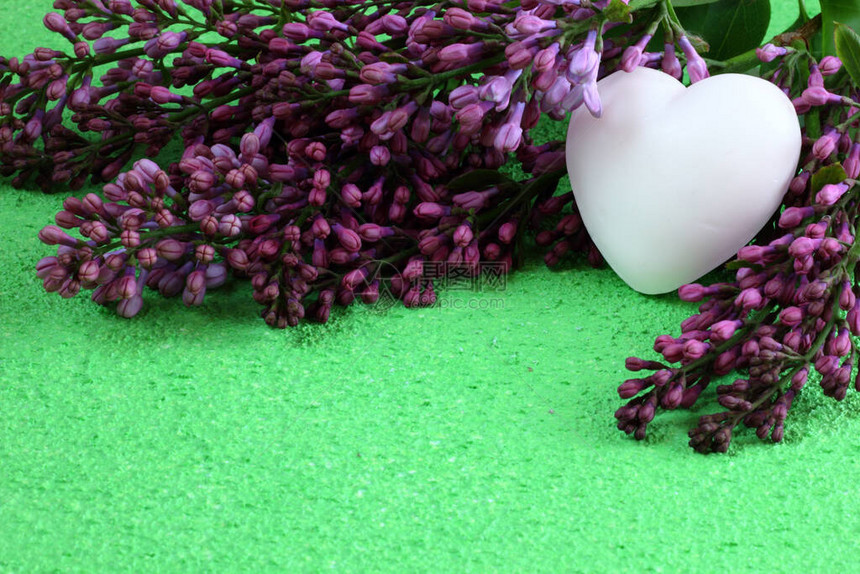 绿色背景的红心花朵文字空间爱情时间春图片