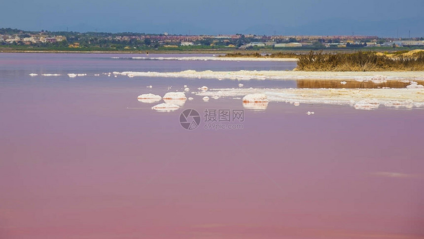 托雷维耶哈的粉红盐湖西班牙阿利坎特省图片