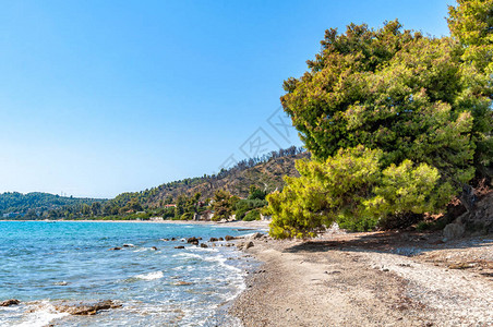 位于哈尔基迪的爱琴海一个美丽而隐图片