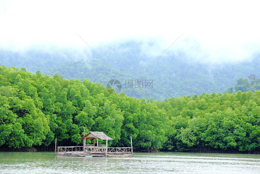 在空湖地区孤独的漂浮房屋红树林森背景受孕人生活在宽阔图片