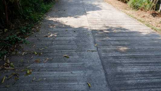 老水泥街道和干叶高清图片