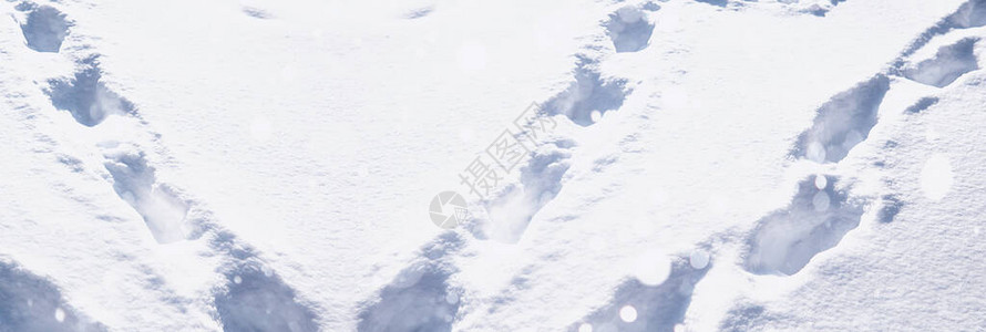 雪的纹理冬天的降雨雪降后的图片