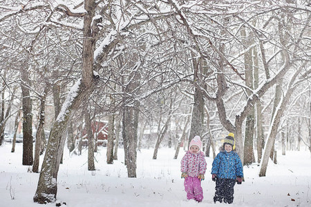 白雪覆盖的冬季公园和长椅公园和码头喂鸭子和鸽子一家人在雪地里散步图片